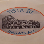 Ingatlan iroda logó