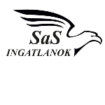 SaS Ingatlanok profilkép